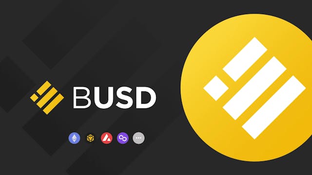 Binance-Peg BUSD