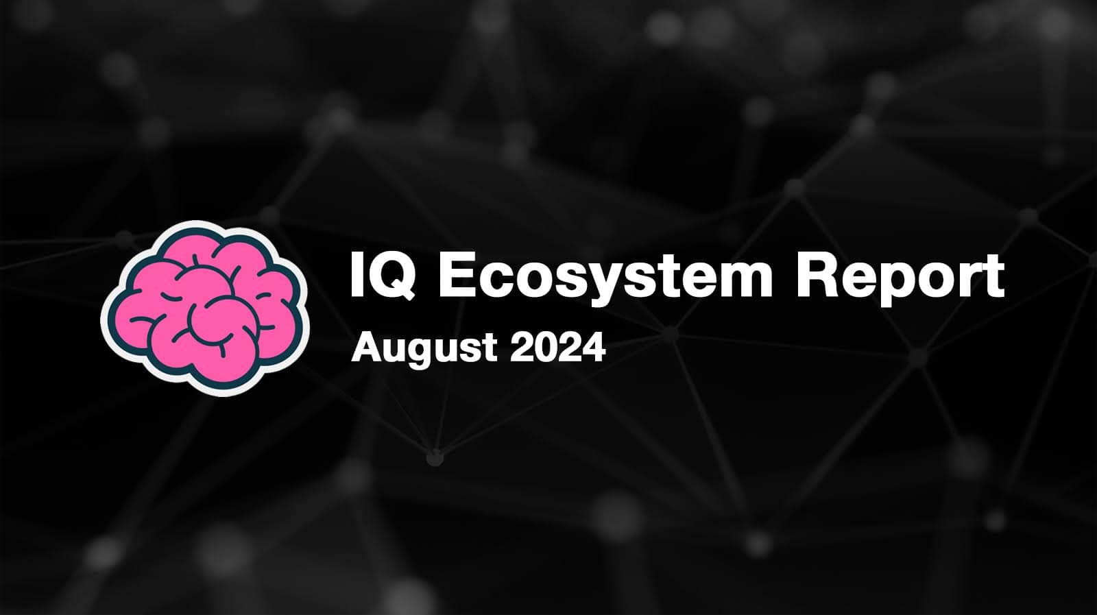 IQ Ecosystem Report - August 2024