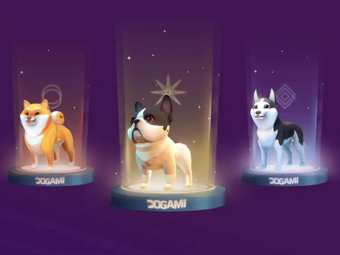 Featured image for Dogamí