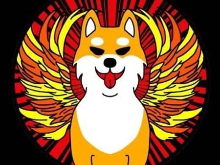 Shib Original Vision