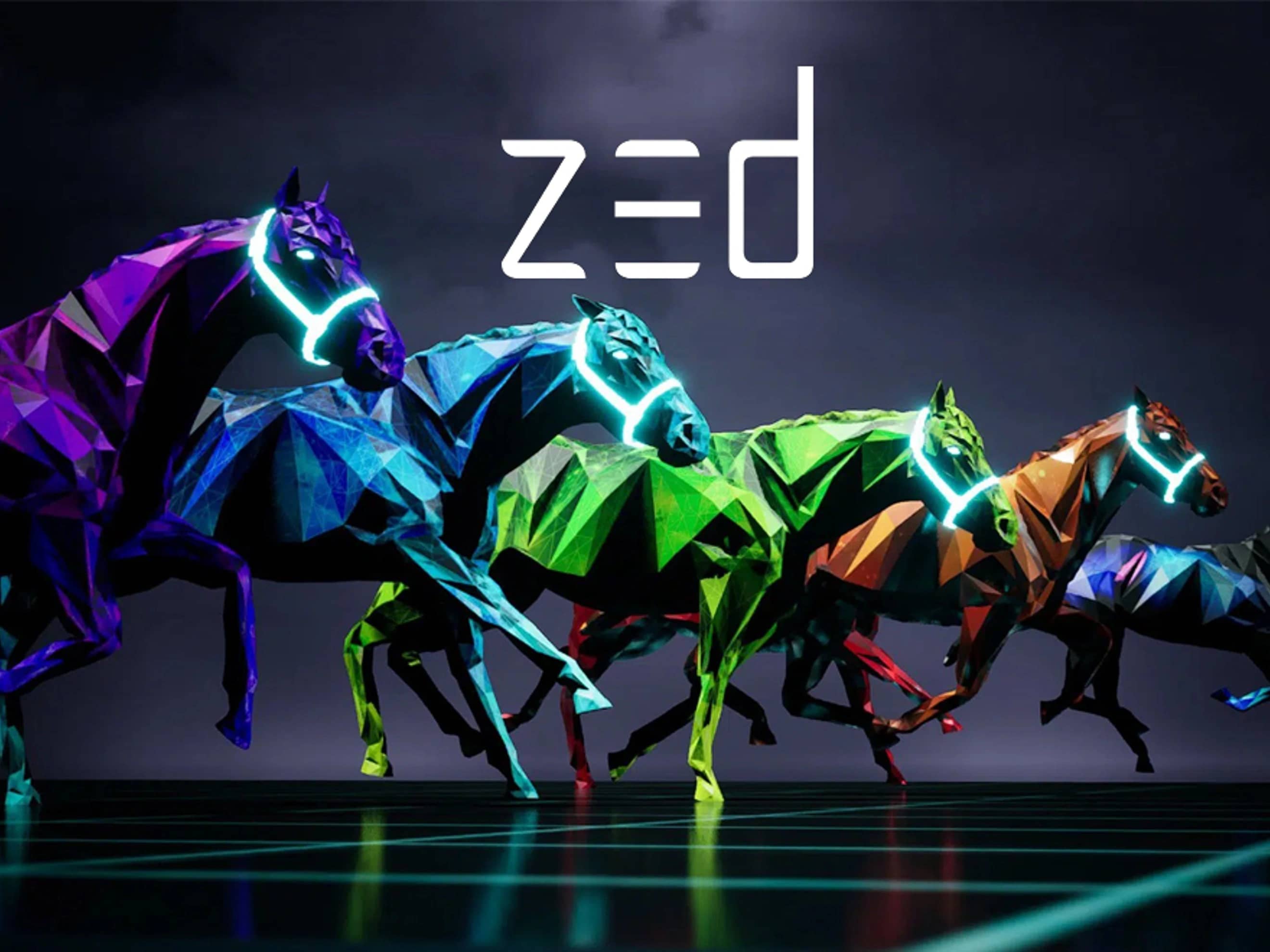Zed Run