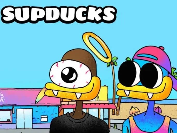 Sup Ducks