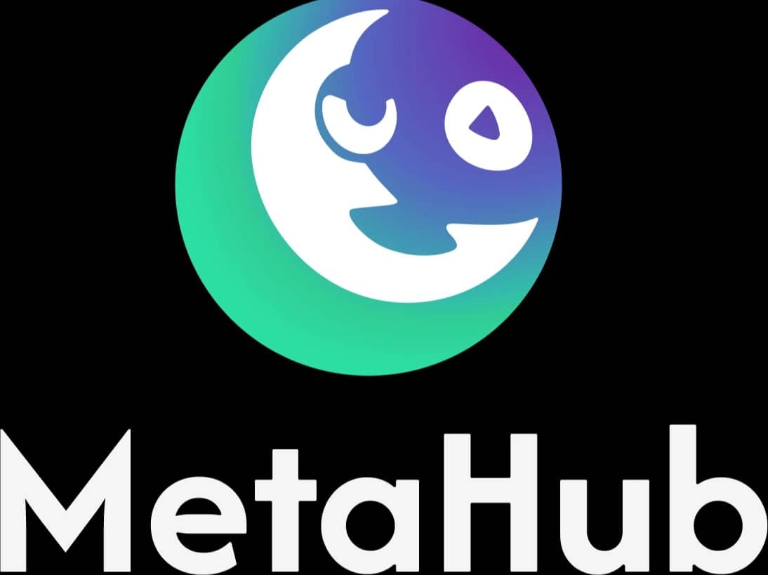 Featured image for Metahub