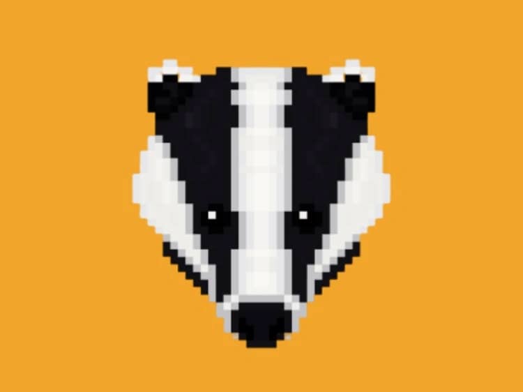 BadgerDAO