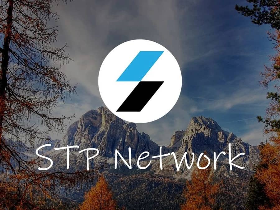 STP Network