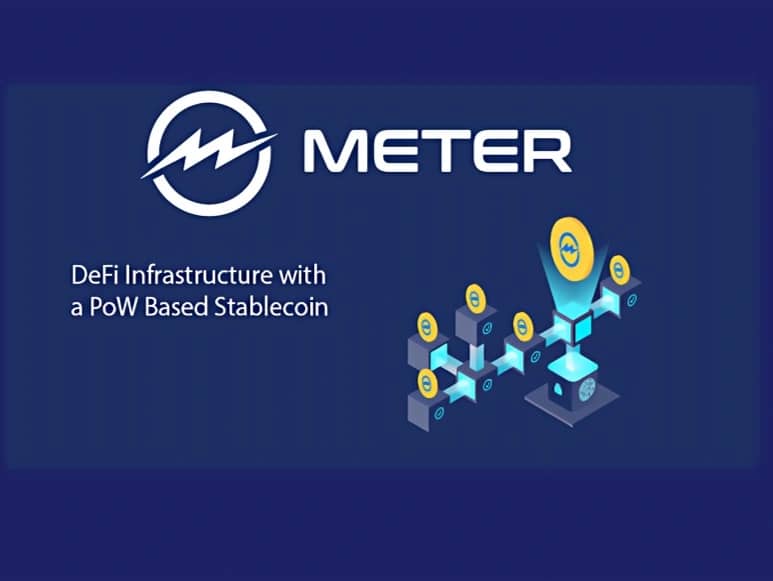 Meter Governance