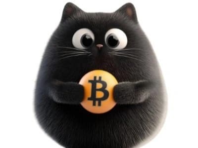 BitCat