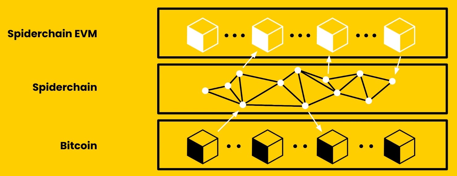 spiderchain-evm.webp