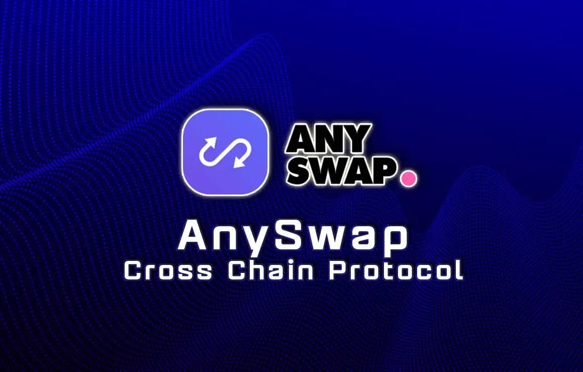 what-is-anyswap-any-how-to-use-anyswap-101.jpg