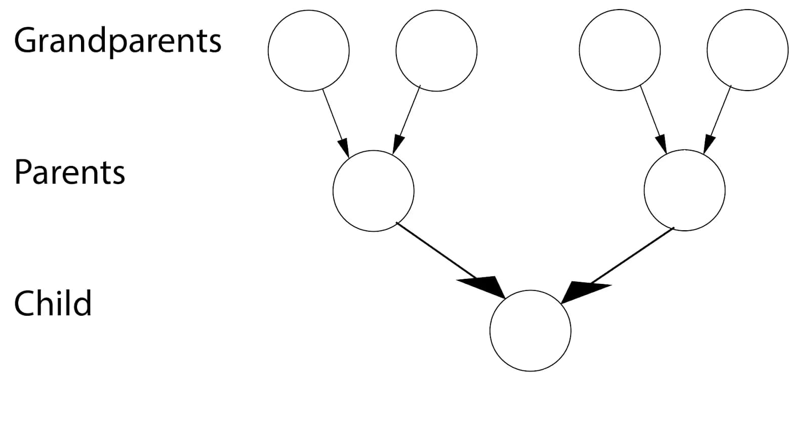 Family tree.webp