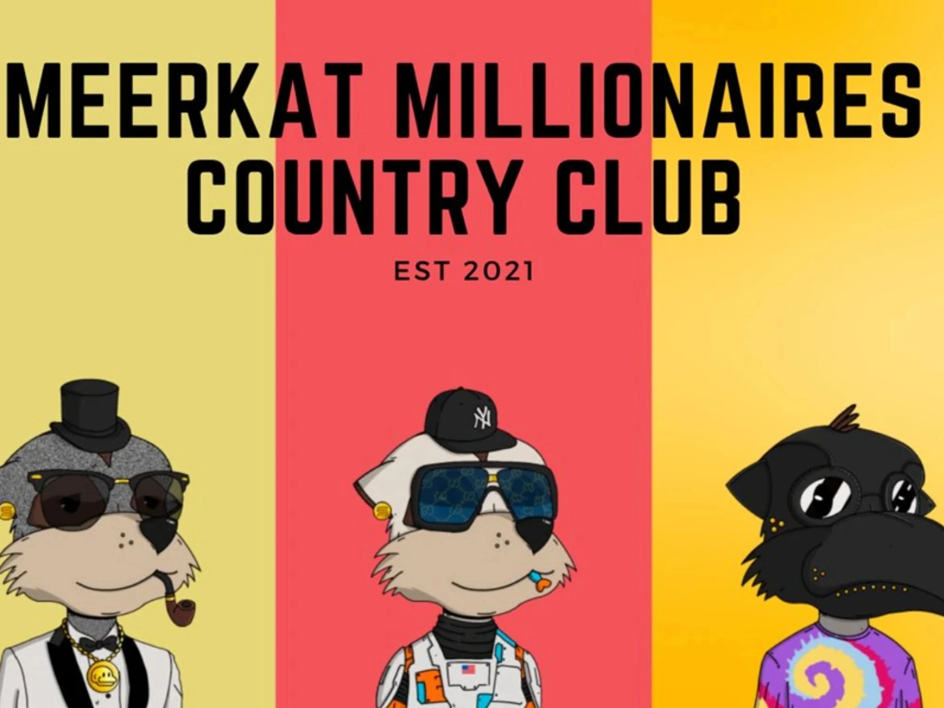 Featured image for Meerkat Millionaires Country Club