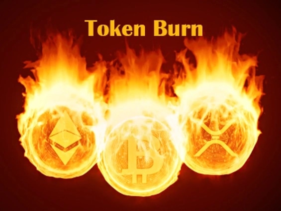 Featured image for Token Burn