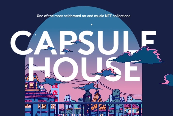 Capsule House