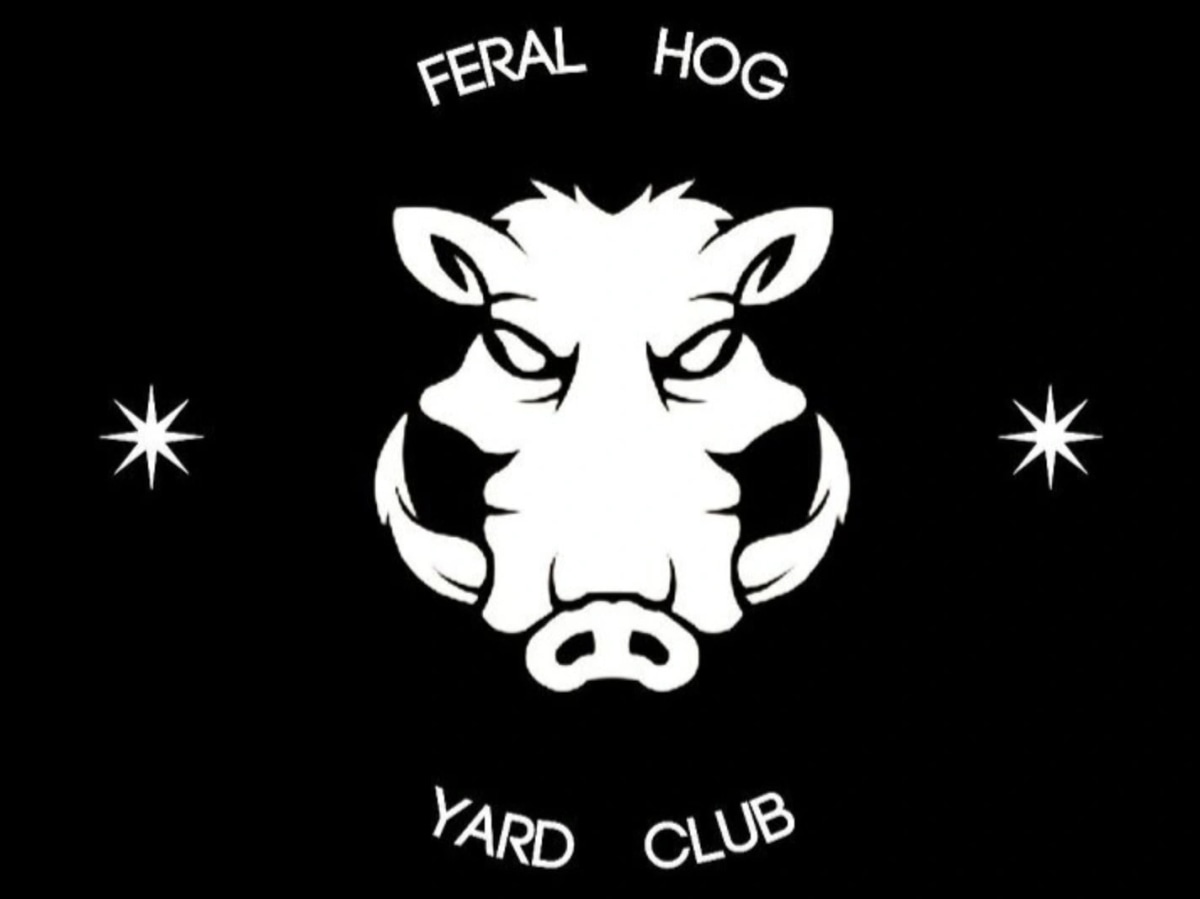 30-50-feral-hogs-nfts-nfts-iq-wiki