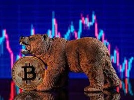 Featured image for Bear Market