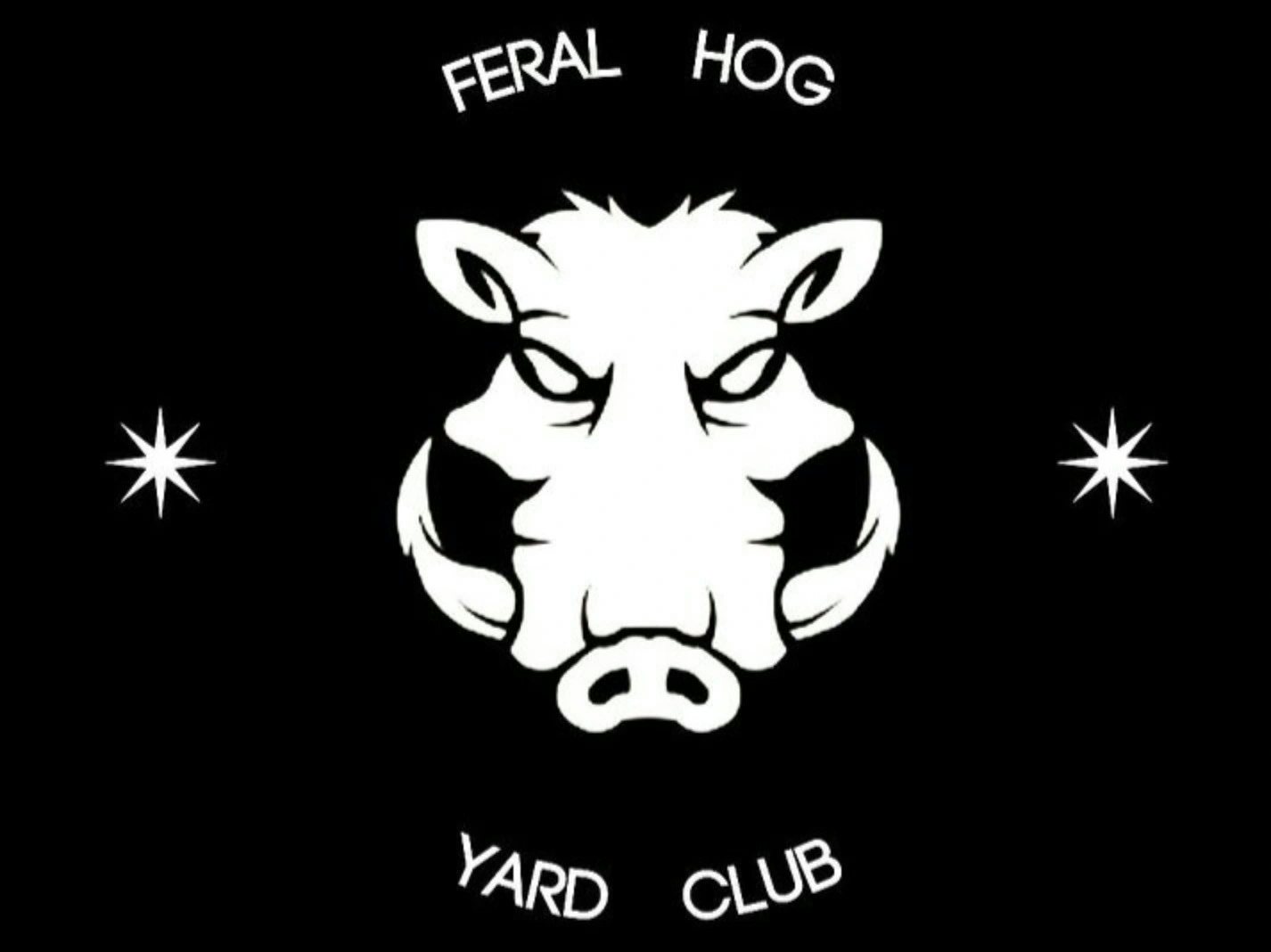 30-50 Feral Hogs NFTs