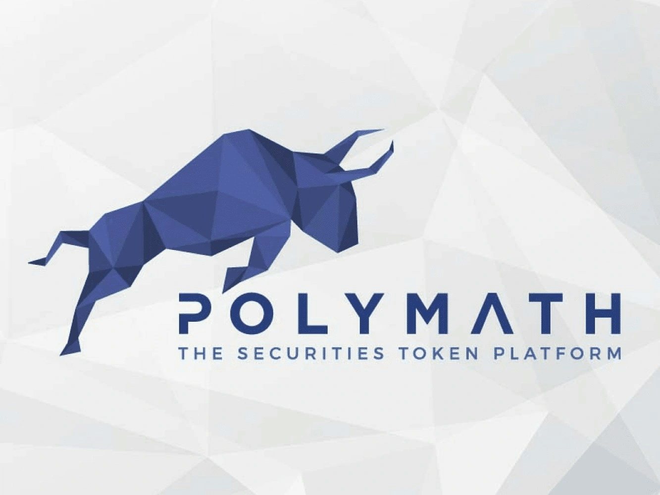 Polymath 