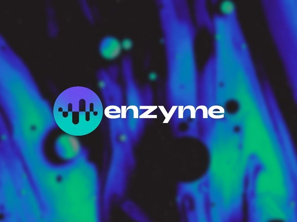 Enzyme - Decentralized Finance | IQ.wiki