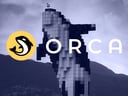 Orca