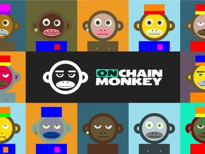 OnChain Monkey