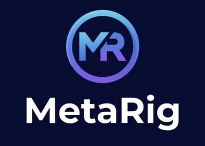MetaRig
