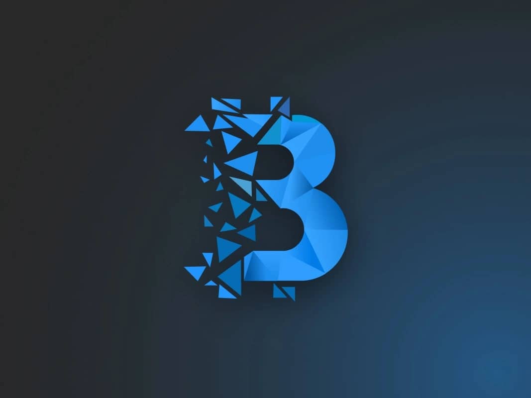 Blockchain Life