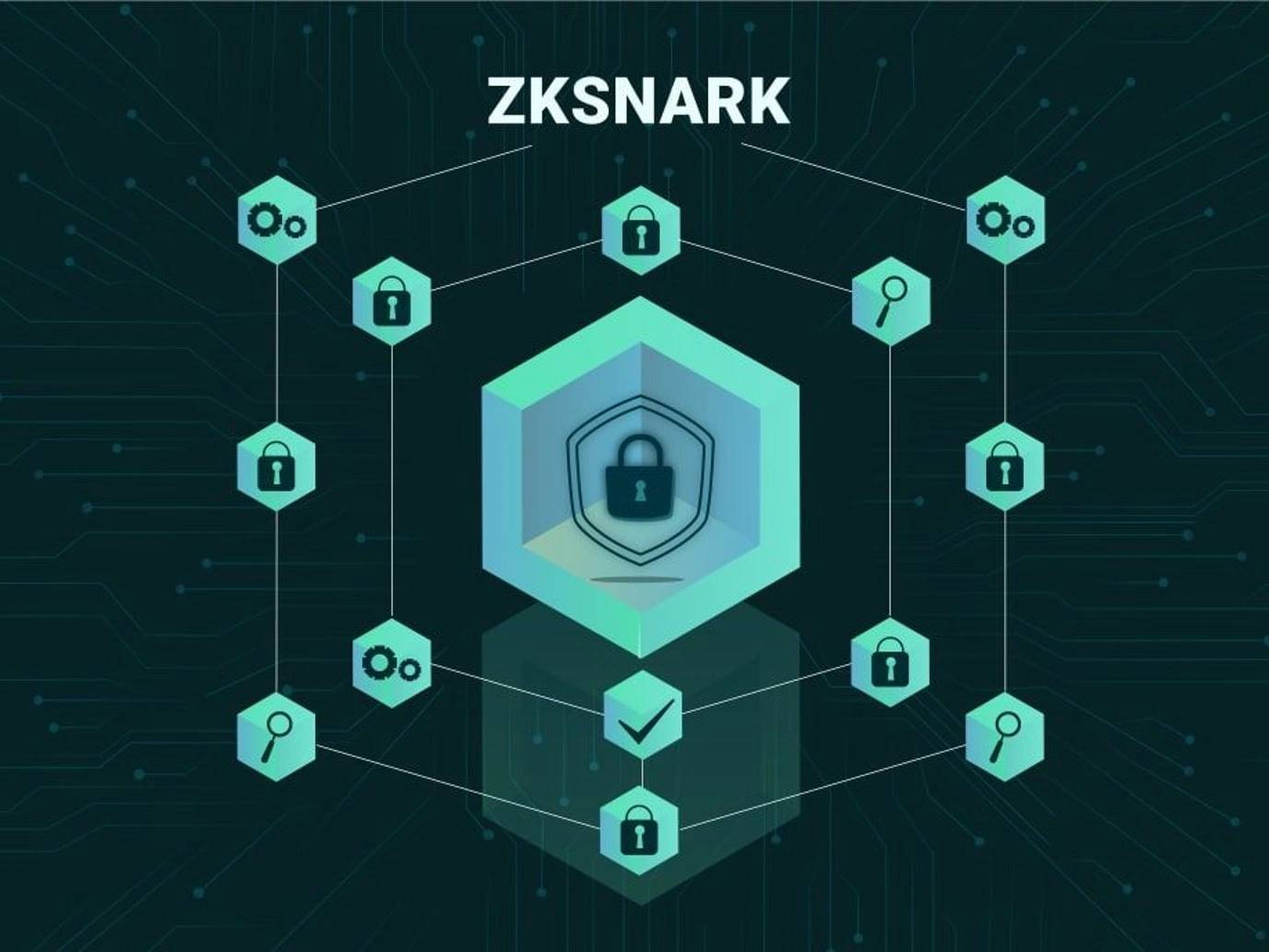 ZK SNARK