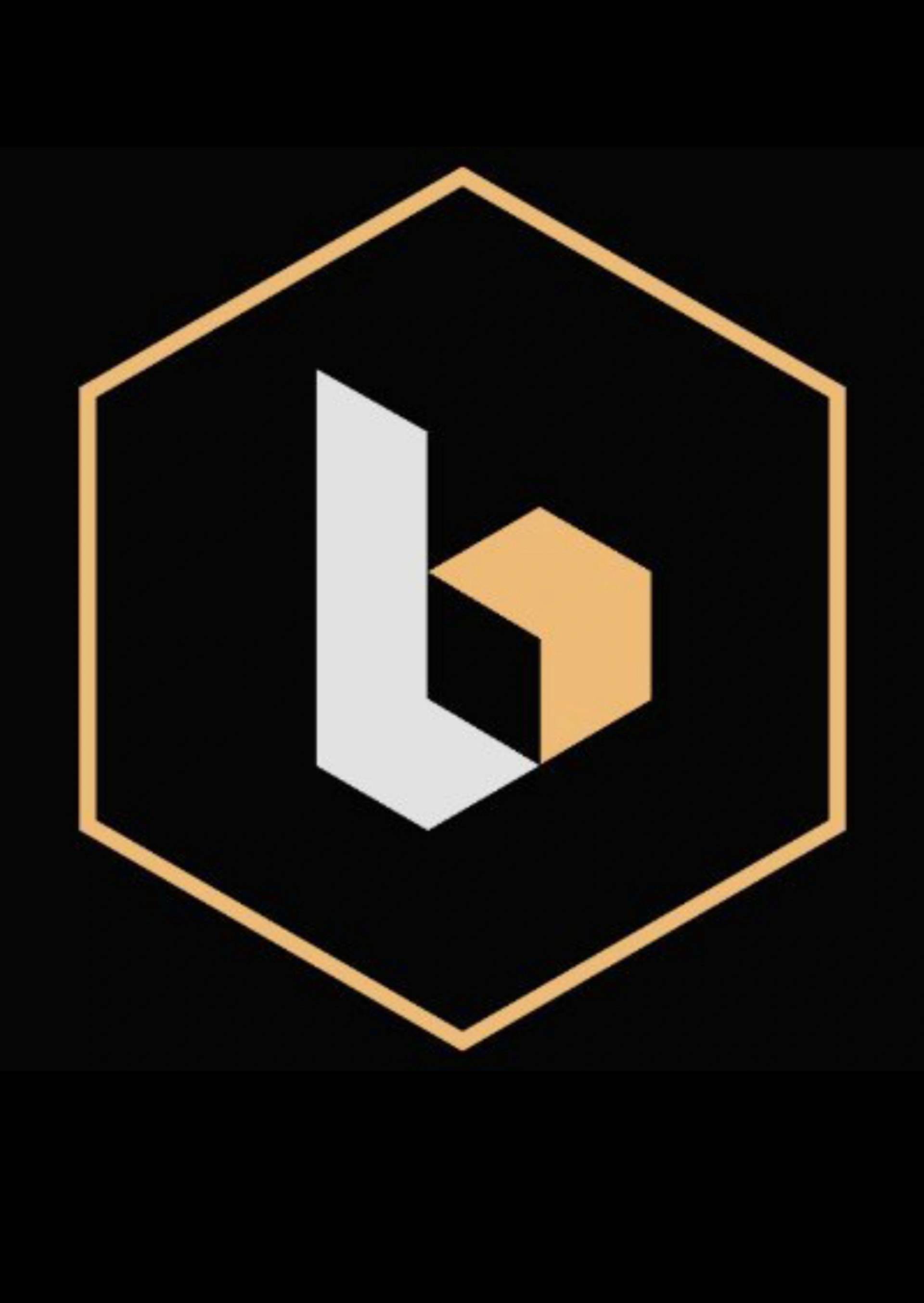 BASIS.pro