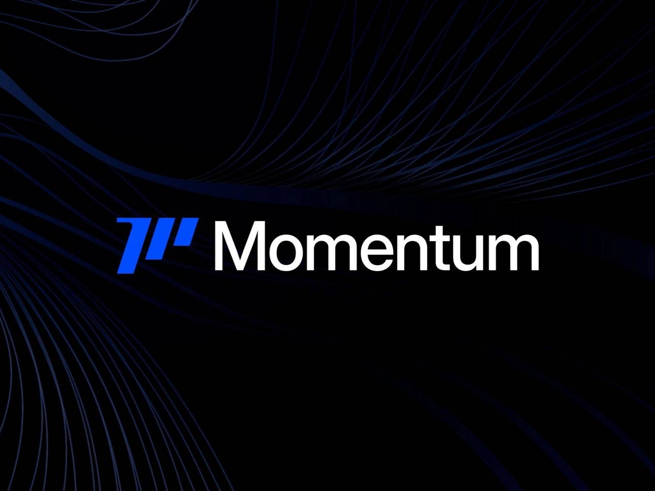 Featured image for Momentum