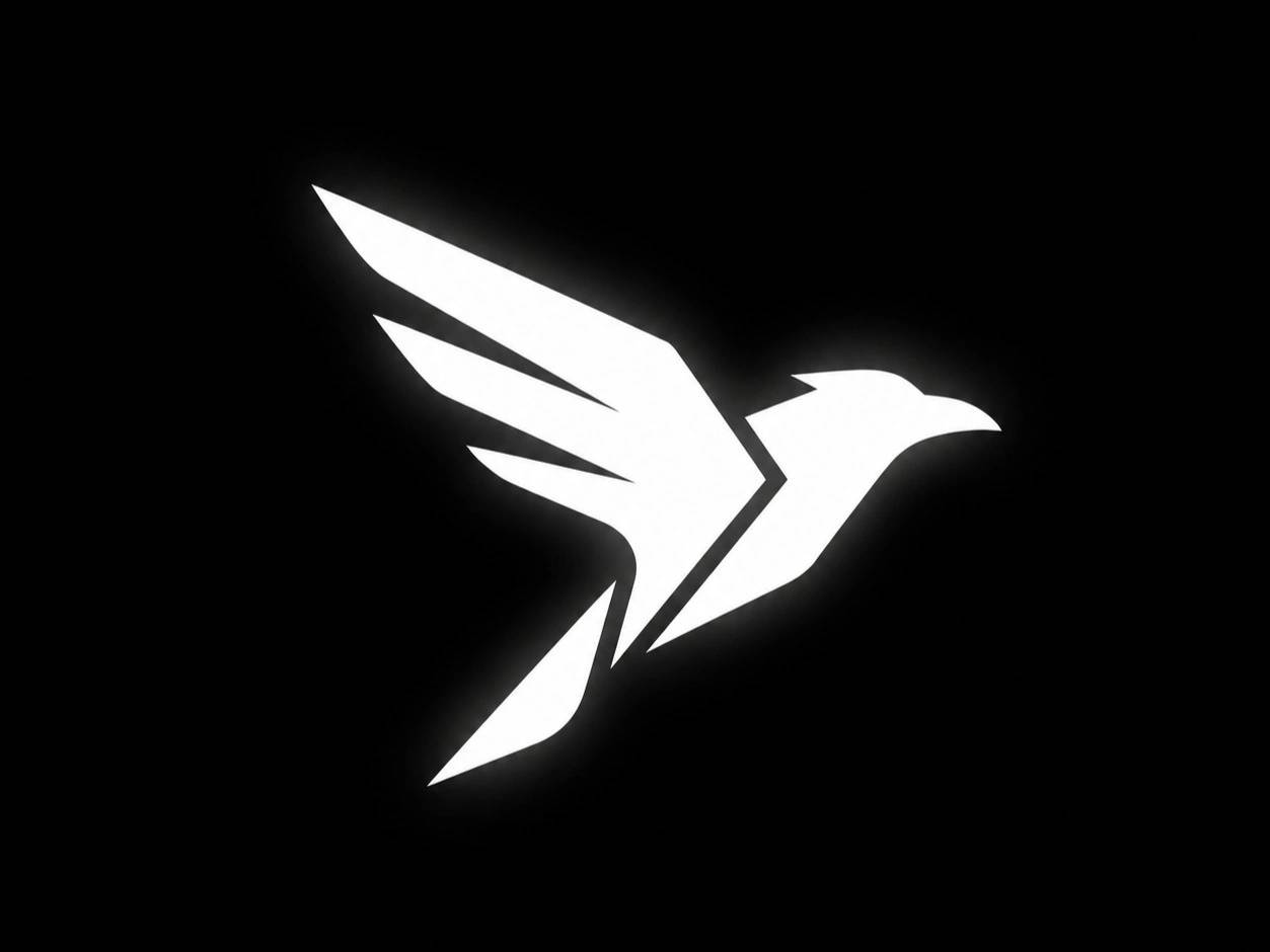 Raven Network