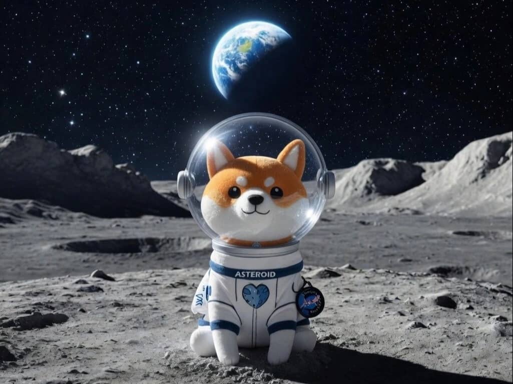 Asteroid Shiba