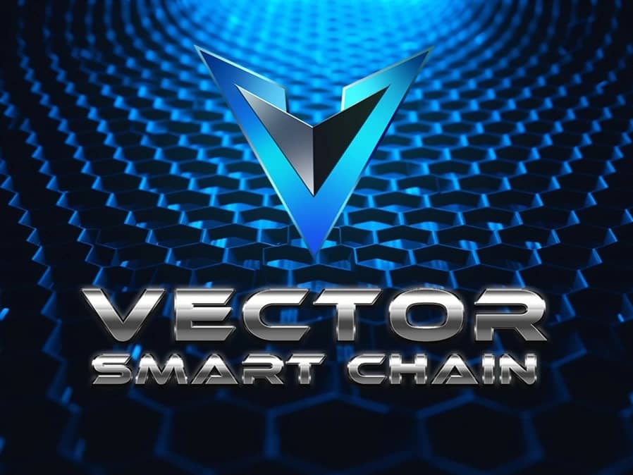 Featured image for Vector Smart Chain