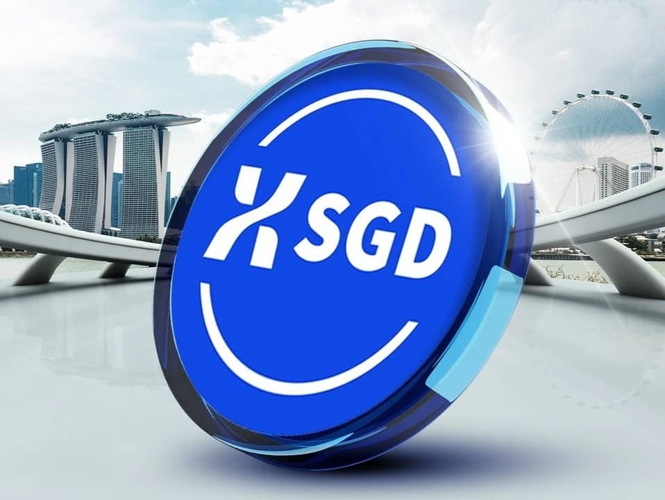 Featured image for SGD Stablecoins