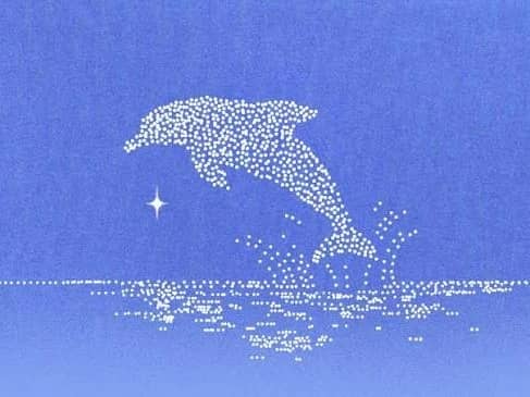 Featured image for Dolphin Network