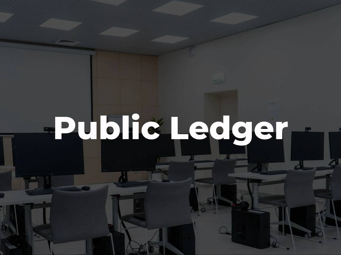 Public Ledger
