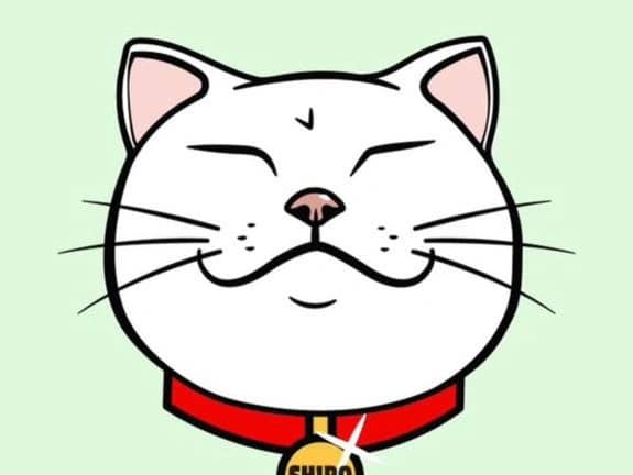Shiro Neko