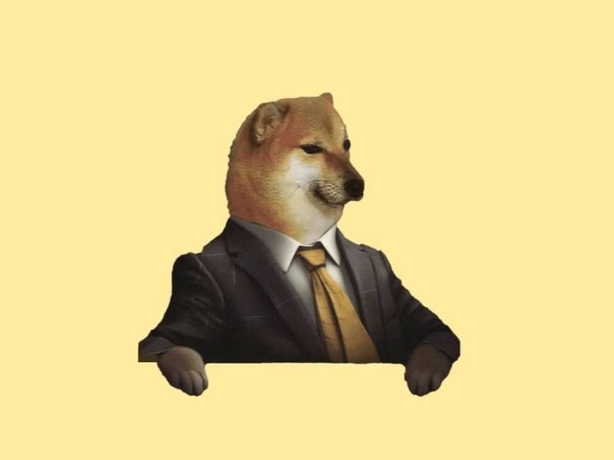 Featured image for Cheems Token