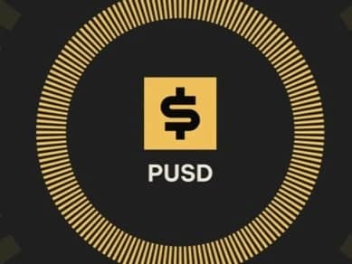 Featured image for Pleasing USD (PUSD)