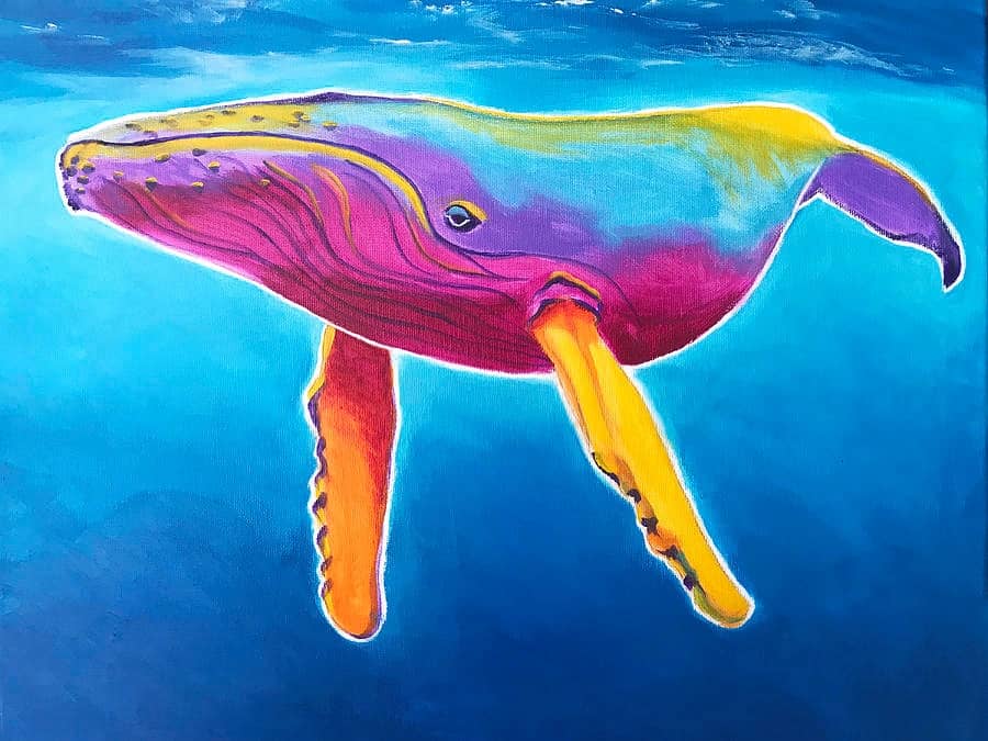 Rainbow Whale