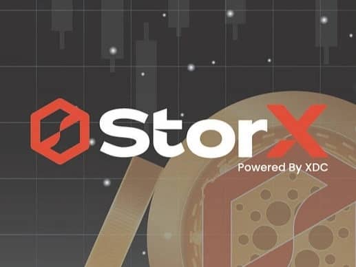 Featured image for StorX