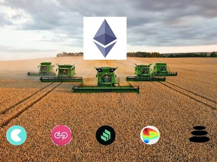Governance Token