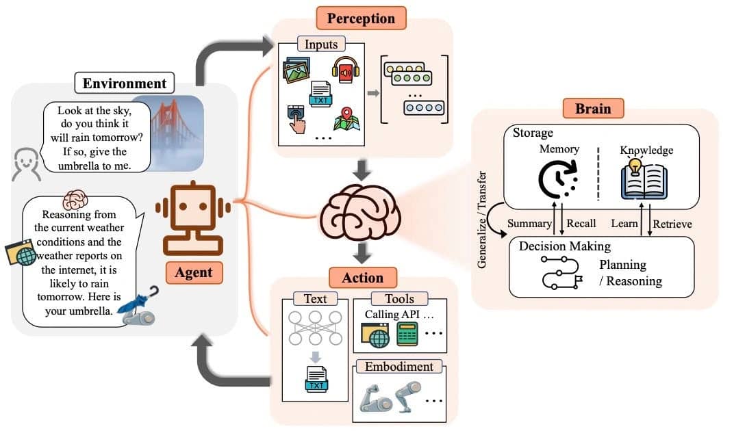 Brain Framework