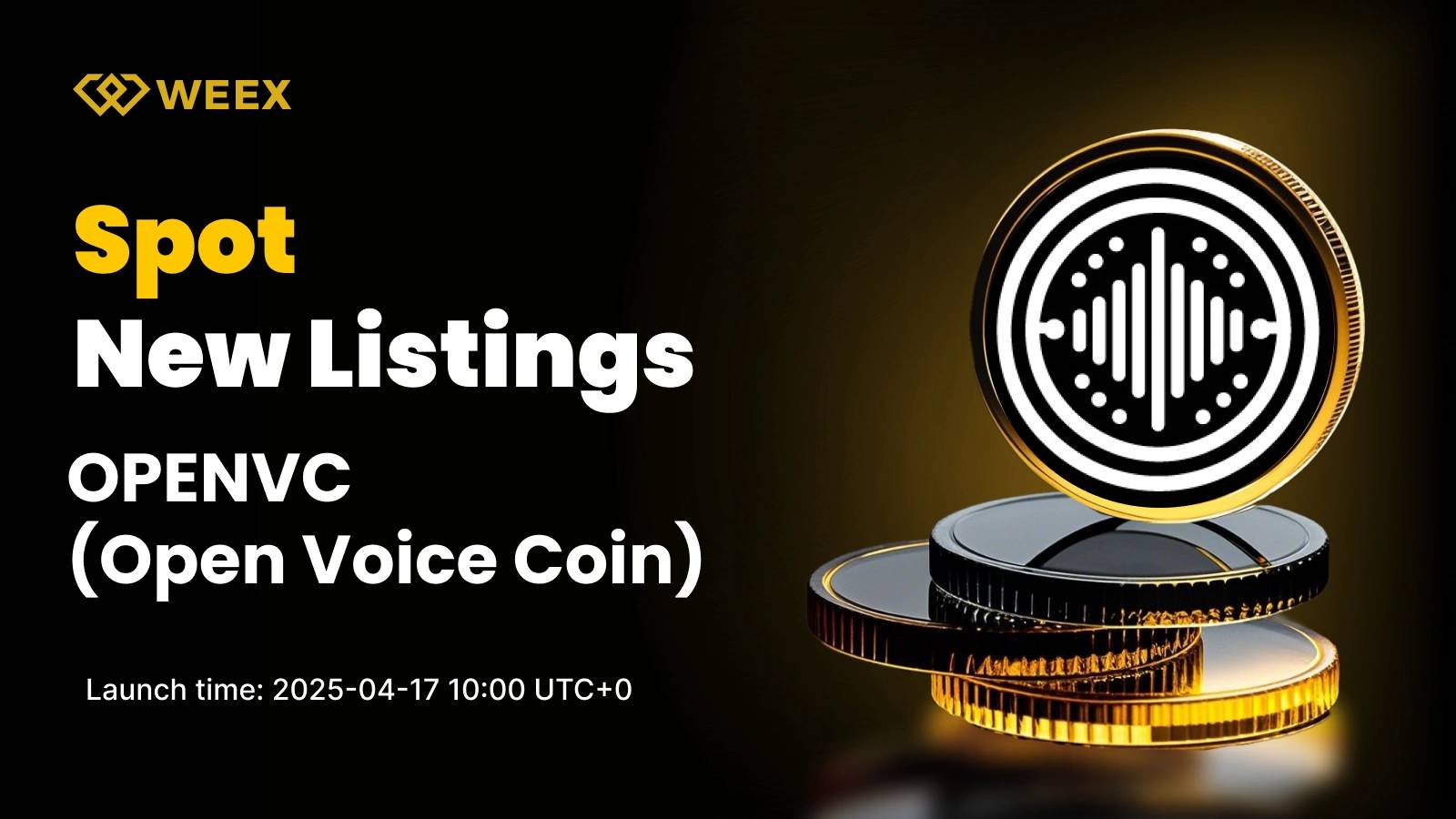 Featured image for OpenVoiceCoin