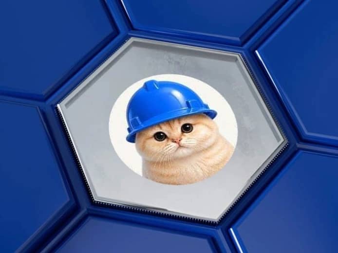 Basecat