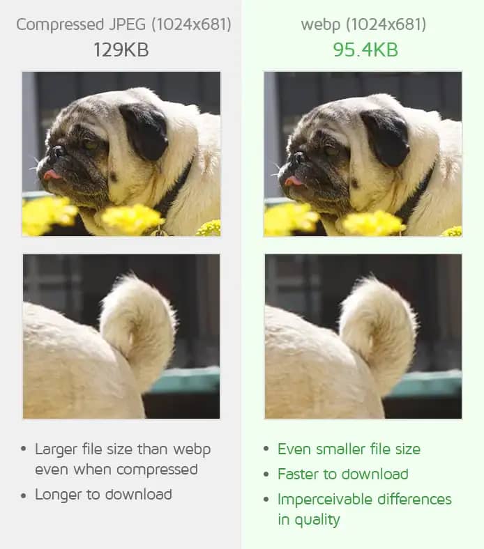 Featured image for wiki webp