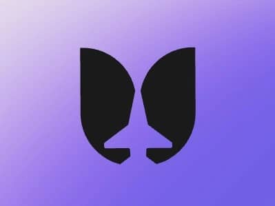 Featured image for Flying Tulip