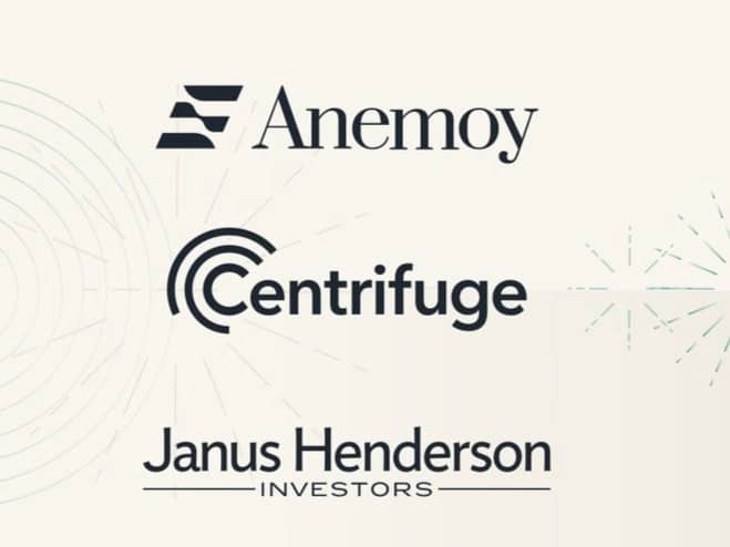 Janus Henderson Anemoy Treasury Fund