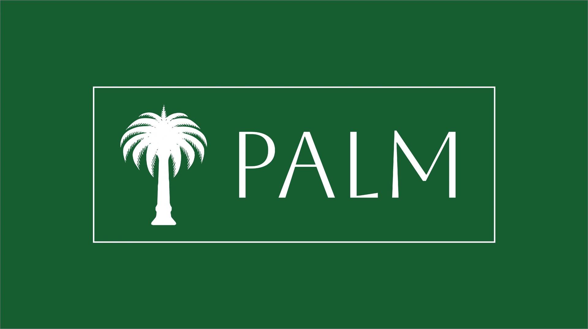 Featured image for Palm USD