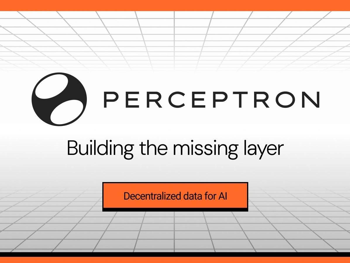 Featured image for Perceptron Network