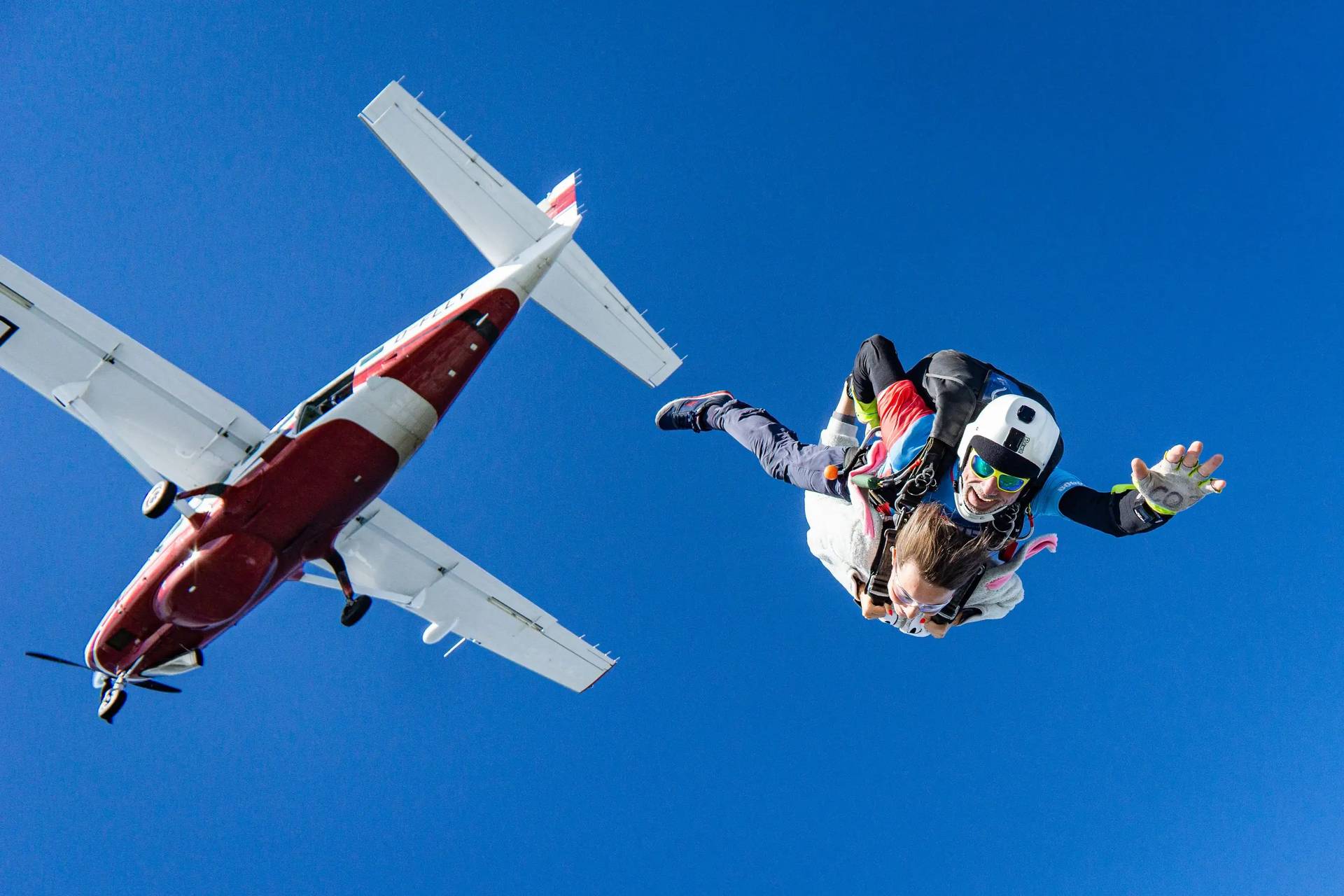 Featured image for Geronimo